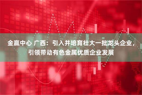 金赢中心 广西：引入并培育壮大一批龙头企业，引领带动有色金属优质企业发展