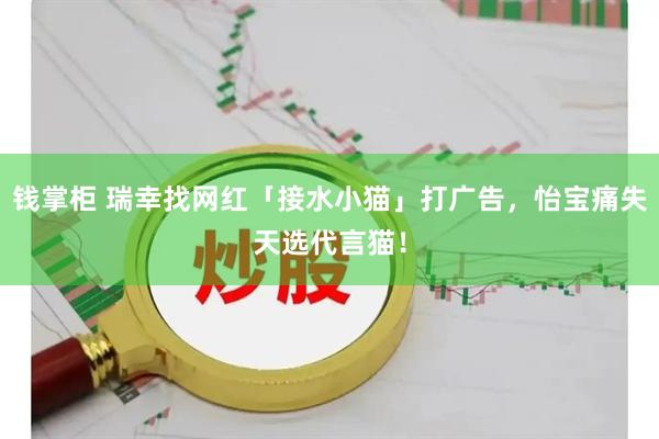 钱掌柜 瑞幸找网红「接水小猫」打广告,怡宝痛失天选代言猫!