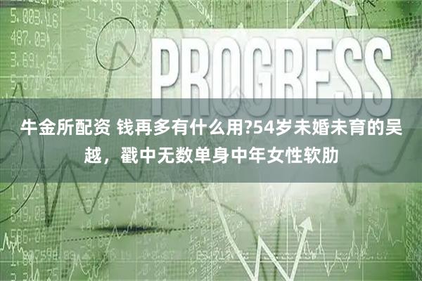牛金所配资 钱再多有什么用?54岁未婚未育的吴越,戳中无数单身中年女性软肋