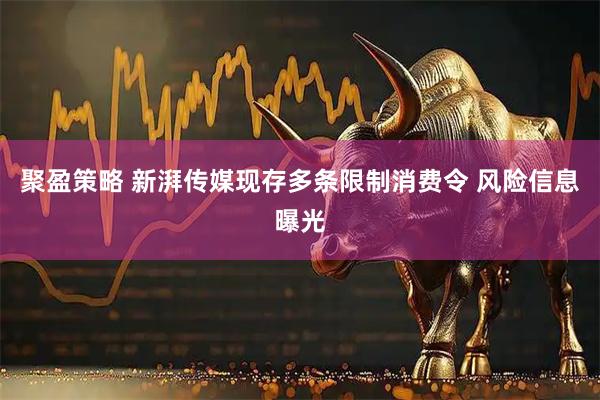 聚盈策略 新湃传媒现存多条限制消费令 风险信息曝光